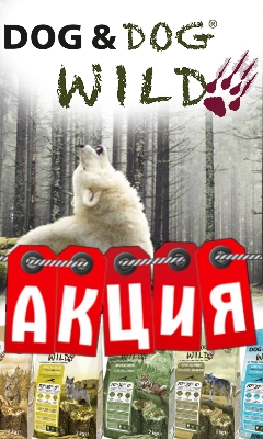 Акция Dog&Dog WILD. Бери больше - плати меньше! Акция Dog&Dog WILD. Бери больше - плати меньше!