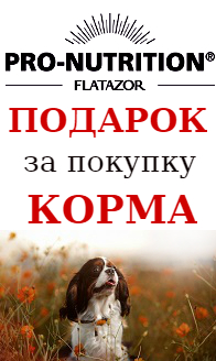 АКЦИЯ шампунь в подарок при покупке кормов PRO-NUTRITION АКЦИЯ шампунь в подарок при покупке кормов PRO-NUTRITION