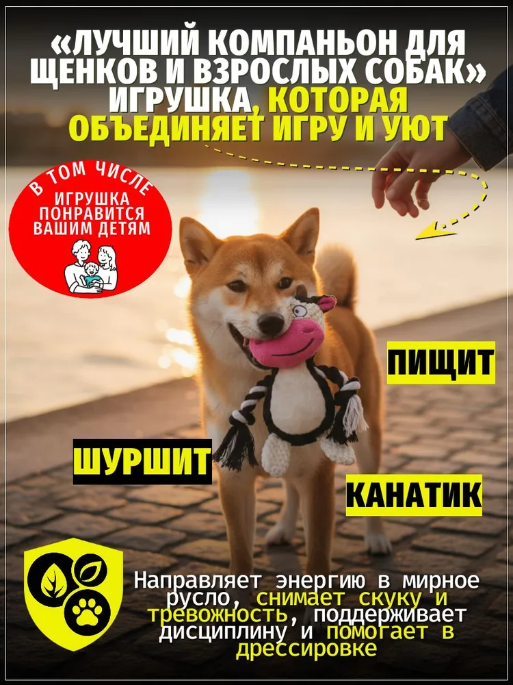 Корова