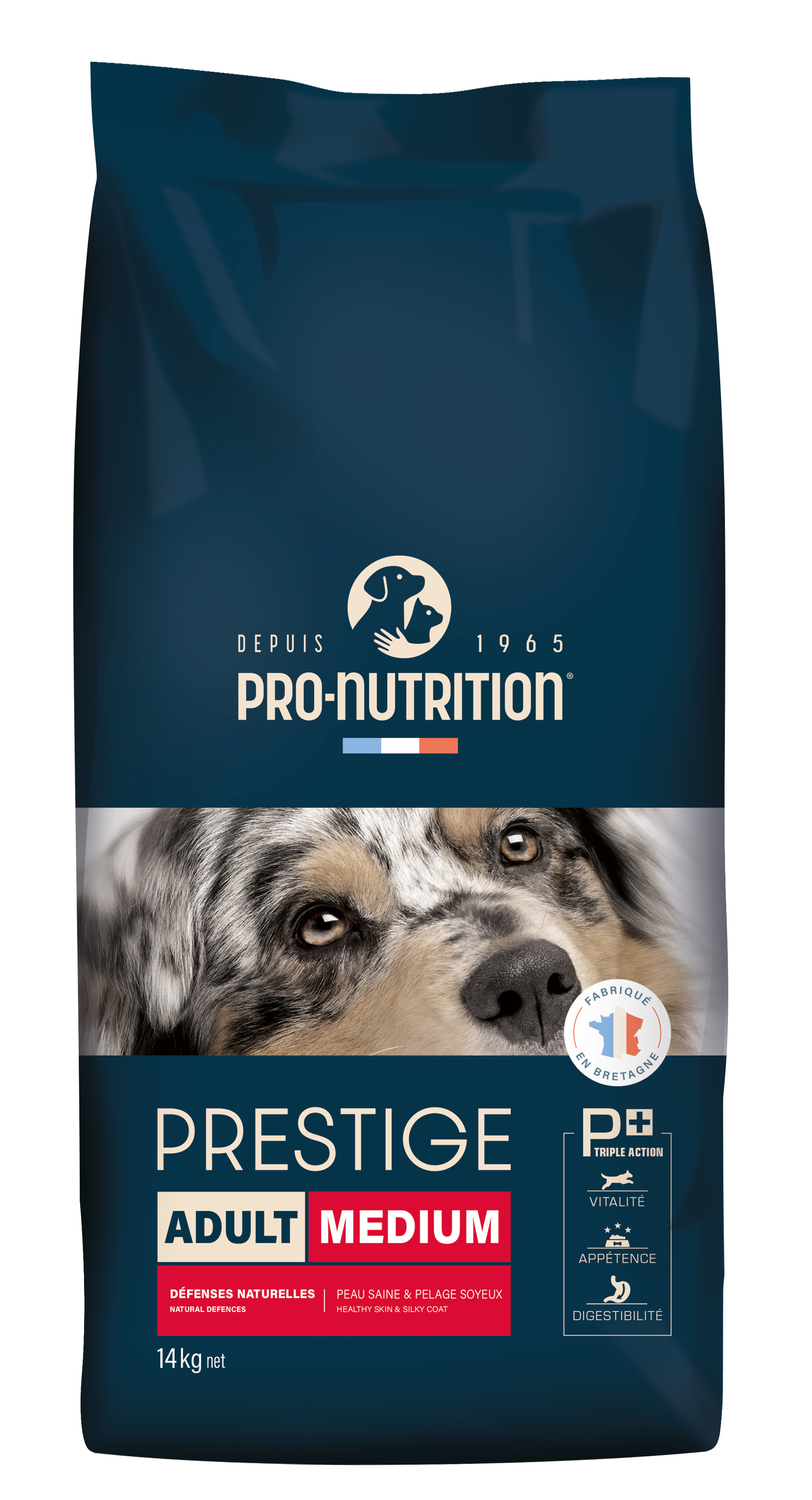 Prestige Adult Medium
