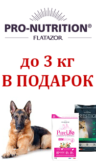 Подарки за покупку корма PRO-NUTRITION Flatazor Подарки за покупку корма PRO-NUTRITION Flatazor