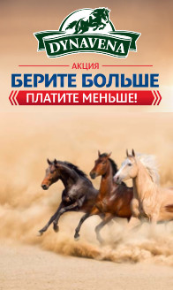 АКЦИЯ на DYNAVENA АКЦИЯ на DYNAVENA