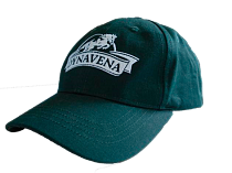 Кепка с логотипом Dynavena .